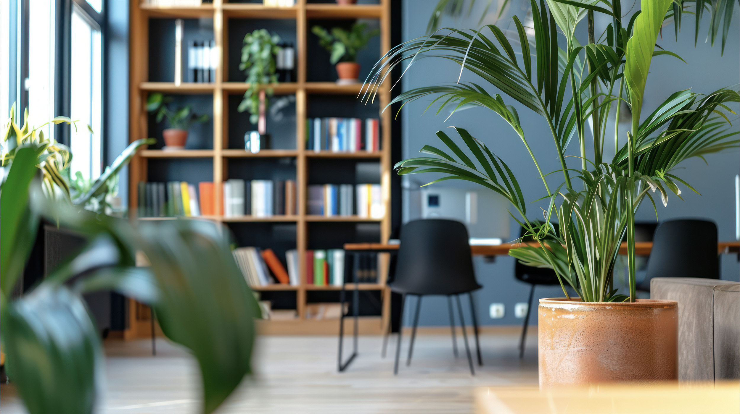 An Academic office with books, a place of learning